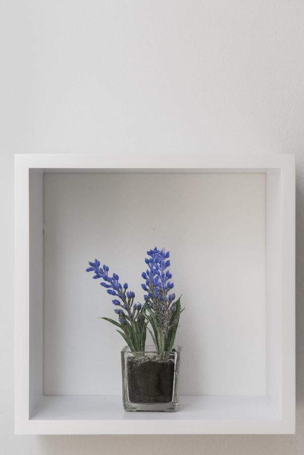 Studio Apartment Bilic Szybenik Zewnętrze zdjęcie